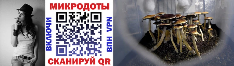 как найти наркотики  Омск  Псилоцибиновые грибы мицелий 